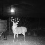 Profile picture of Txbowhunter08