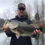 Profile picture of BassCatVet