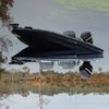Profile picture of basnbran